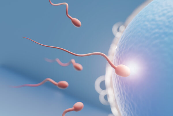 Close up of Sperm swimming towards the blue egg in a blue