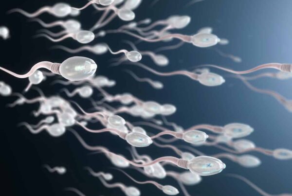 3d illustration of sperm cells
